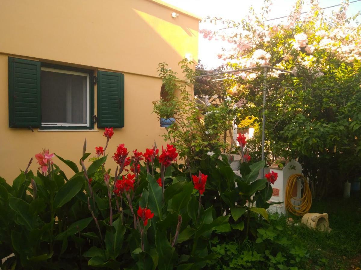 Appartamento House With Garden Near The Sea Agia Efimia Esterno foto