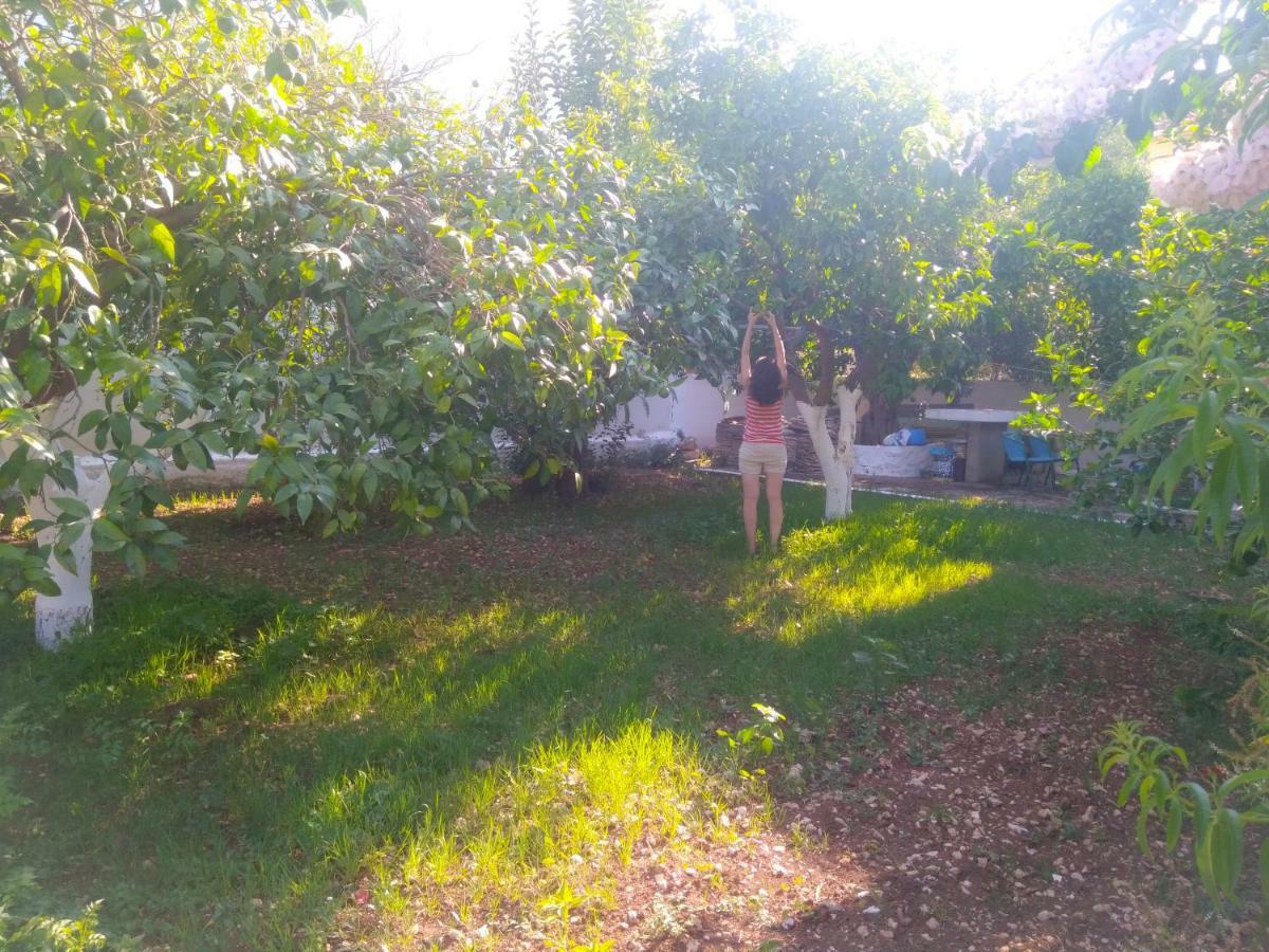Appartamento House With Garden Near The Sea Agia Efimia Esterno foto